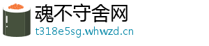 魂不守舍网